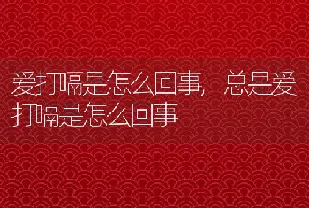 爱打嗝是怎么回事，总是爱打嗝是怎么回事