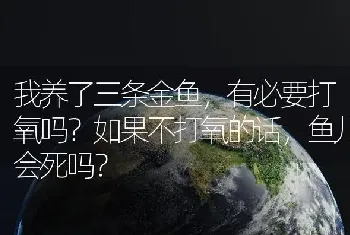 我养了三条金鱼，有必要打氧吗？如果不打氧的话，鱼儿会死吗？