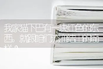 我家猫下巴有一块红色的东西。就跟咱们流血结出的痂一样？