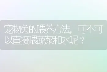 宠物兔的喂养方法，可不可以直接喂蔬菜和水呢？