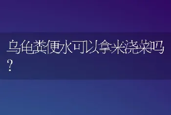 乌龟粪便水可以拿来浇菜吗？