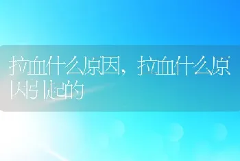 拉血什么原因，拉血什么原因引起的