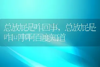 总放屁是咋回事，总放屁是咋回事啊百度知道