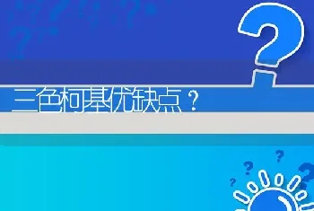 三色柯基优缺点？