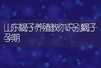 在日粮中添加酶可以提高鸭的生长性能