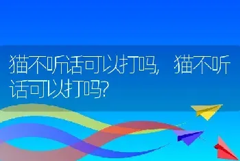 猫不听话可以打吗，猫不听话可以打吗？