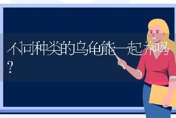 不同种类的乌龟能一起养吗？