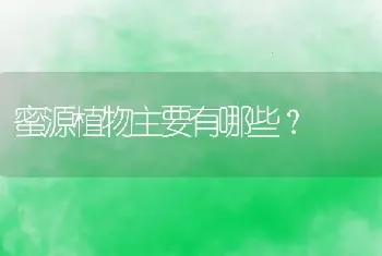 蜜源植物主要有哪些？