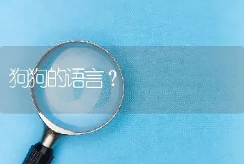 拉布拉多的个头到底比金毛大还是小？