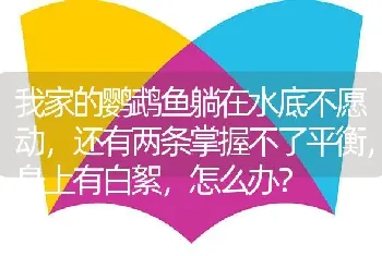 我家的鹦鹉鱼躺在水底不愿动，还有两条掌握不了平衡