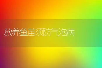 放养鱼苗须防气泡病