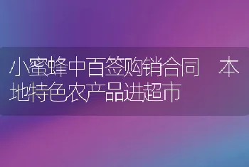 小蜜蜂中百签购销合同本地特色农产品进超市