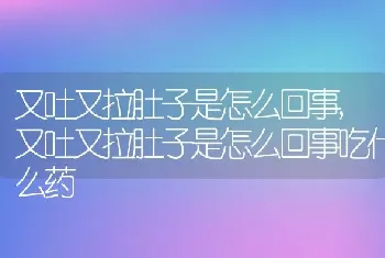 又吐又拉肚子是怎么回事，又吐又拉肚子是怎么回事吃什么药