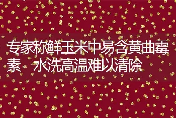 专家称鲜玉米中易含黄曲霉素水洗高温难以清除