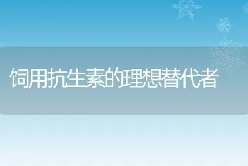 饲用抗生素的理想替代者