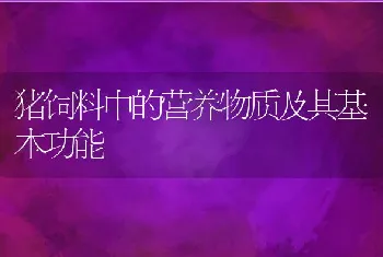 猪饲料中的营养物质及其基本功能