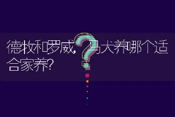 德牧和罗威,马犬养哪个适合家养？