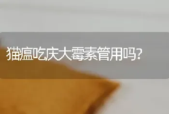 猫瘟吃庆大霉素管用吗？