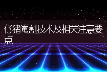 仔猪阉割技术及相关注意要点