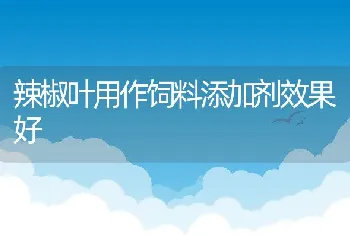 辣椒叶用作饲料添加剂效果好