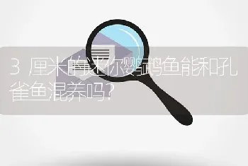 3厘米的迷你鹦鹉鱼能和孔雀鱼混养吗？