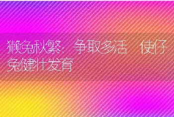 基于动物饲料称量PLC控制技术应用