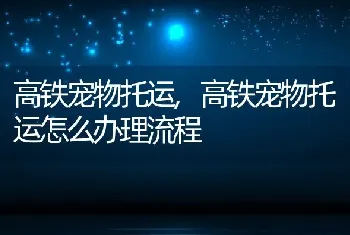 高铁宠物托运，高铁宠物托运怎么办理流程