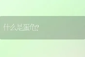 狗狗排便规律是什么一般狗狗什么时候会排？