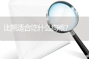 比熊适合吃什么狗粮？