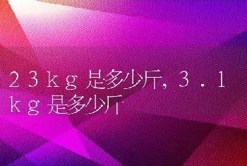 23kg是多少斤，3.1kg是多少斤