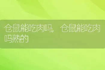 仓鼠能吃肉吗，仓鼠能吃肉吗熟的