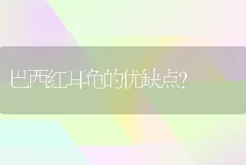 巴西红耳龟的优缺点？