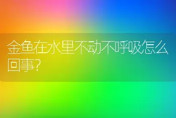 金鱼在水里不动不呼吸怎么回事？