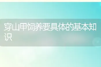 杨梅褐斑病的症状是什么？有哪些防治方法？