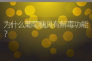 猪黄曲霉毒素中毒的治疗措施