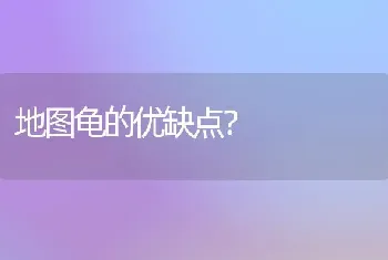 泰迪狗狗呼吸急促是怎么回事儿？