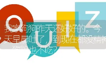 我家狗狗昨天还好好的。今天早晨吐了，到现在都没精神，狗粮也不吃？