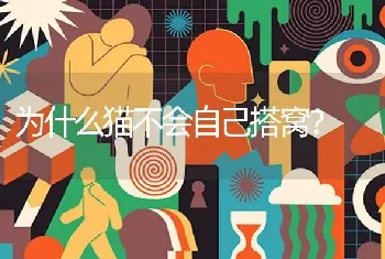 我家猫咪走了4天了至今没有回来、平时夜晚出去；第二天早上都会回家；这次就没有回来；很担心它？