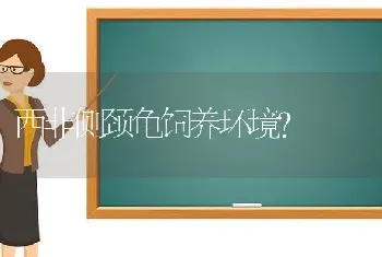 西非侧颈龟饲养环境？