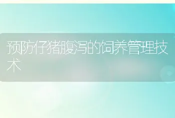 预防仔猪腹泻的饲养管理技术