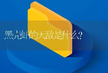 黑壳虾的天敌是什么？