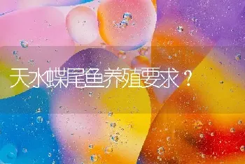 天水蝶尾鱼养殖要求？