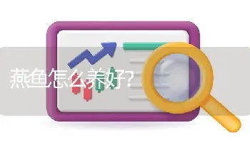 燕鱼怎么养好？