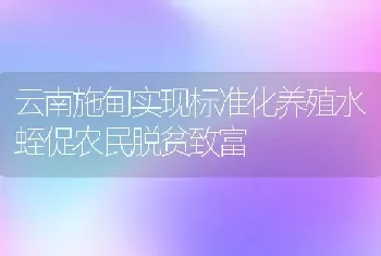 云南施甸实现标准化养殖水蛭促农民脱贫致富