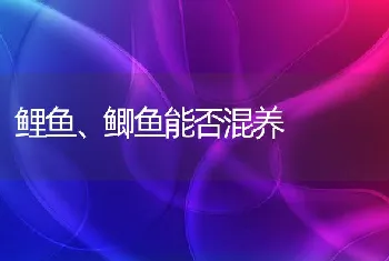 草鱼肠炎型出血病和细菌性肠炎的区别与诊治