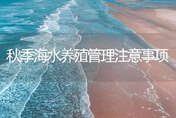 秋季海水养殖管理注意事项