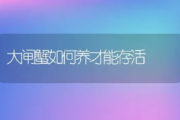 大闸蟹如何养才能存活