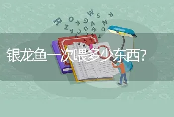 银龙鱼一次喂多少东西？