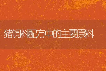 猪饲料配方中的主要原料