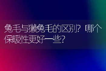 兔毛与獭兔毛的区别?哪个保暖性更好一些？